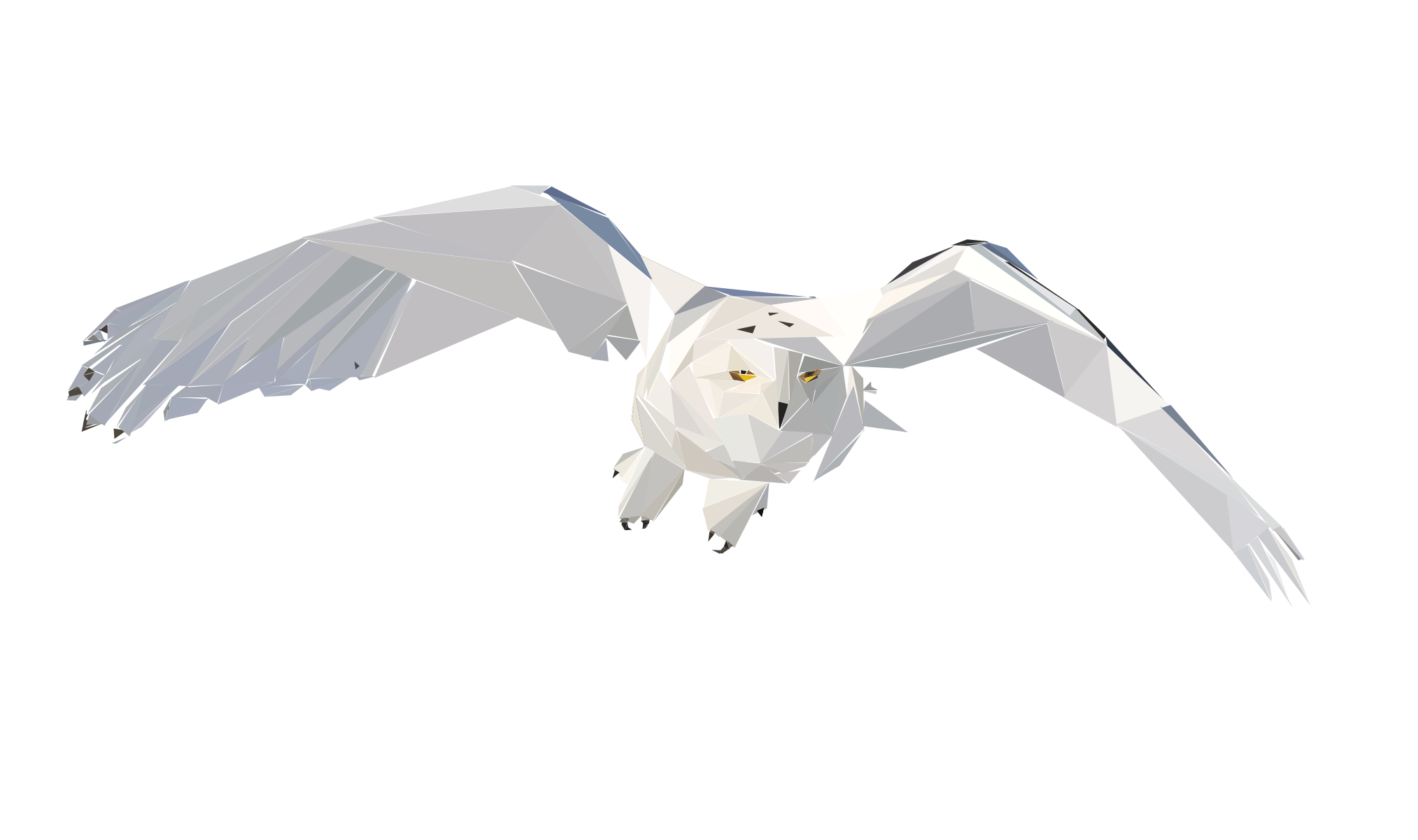 this image might not be working right now